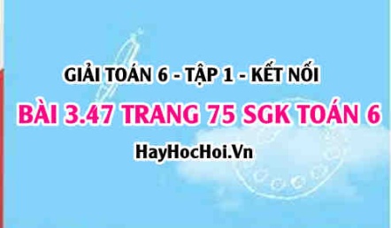 Giải bài 3.47 trang 75 Toán 6 Tập 1 SGK Kết nối tri thức